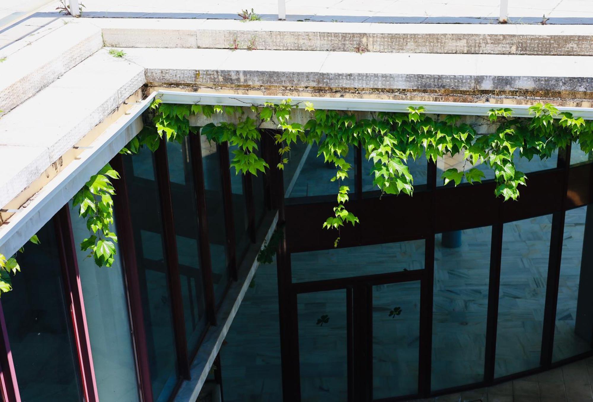 Rentitspain Charming Apartment: Parque Botanico Resort & Country Club Estepona Exterior photo